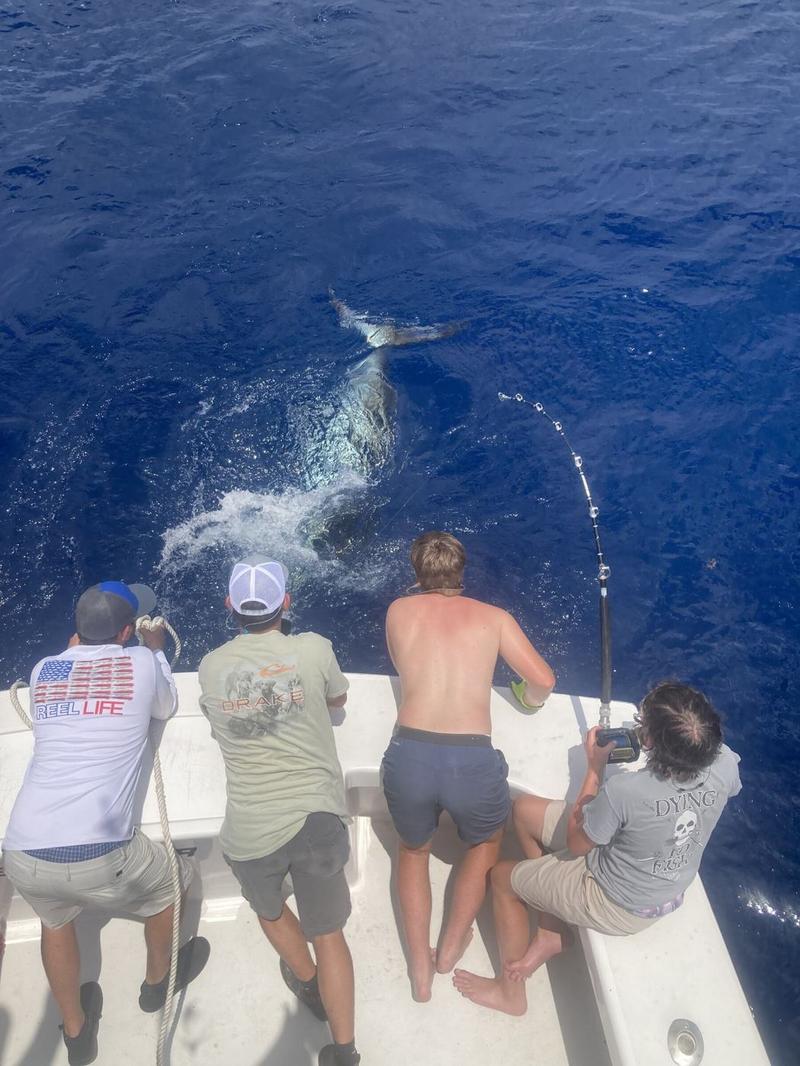 18 Reeler Sportfishing — Outer Banks charter photo